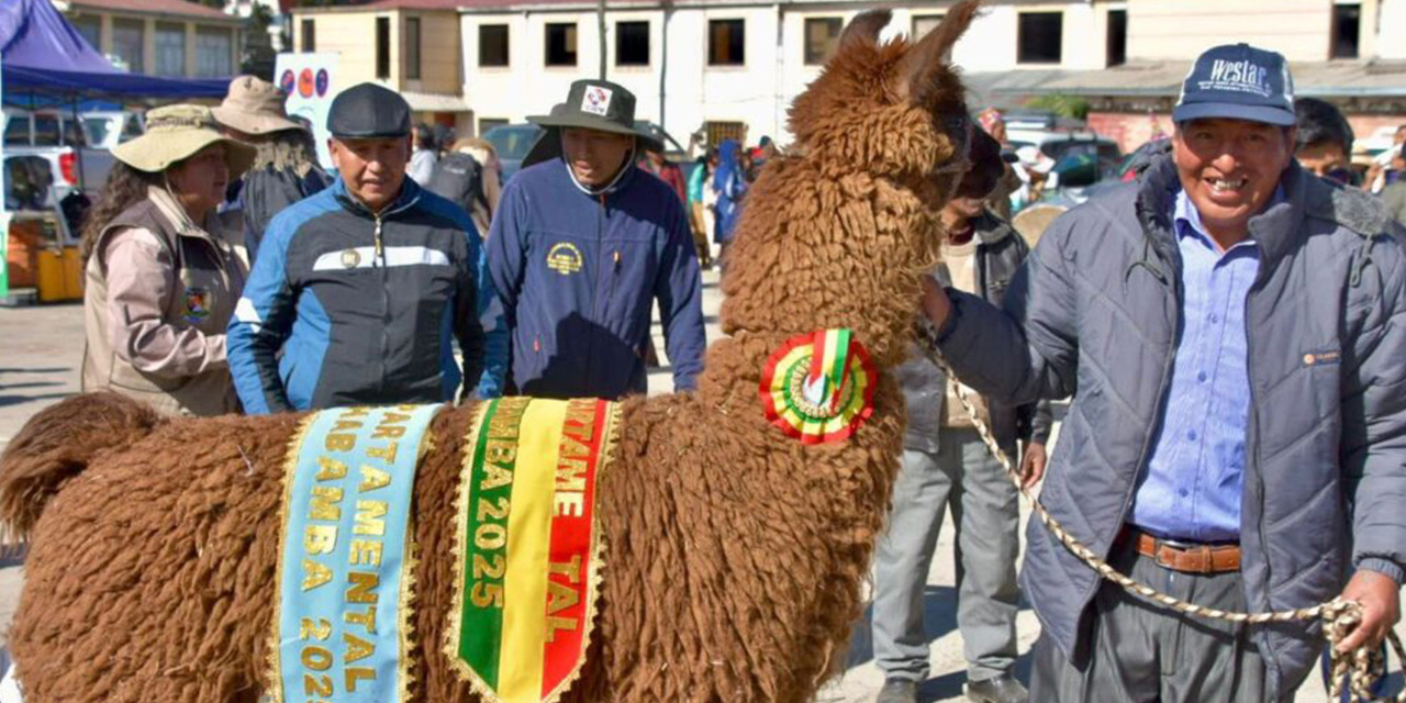 Un productor muestra a un ejemplar premiado. 