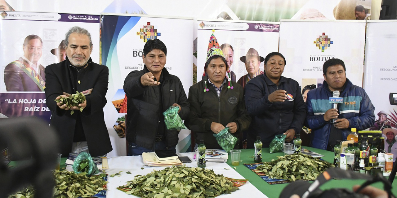 La hoja de coca es un símbolo de la identidad de las naciones y pueblos indígena originario campesinos, y es parte del ritual en todos los encuentros, ampliados, congresos, rituales agrícolas, entre otros.