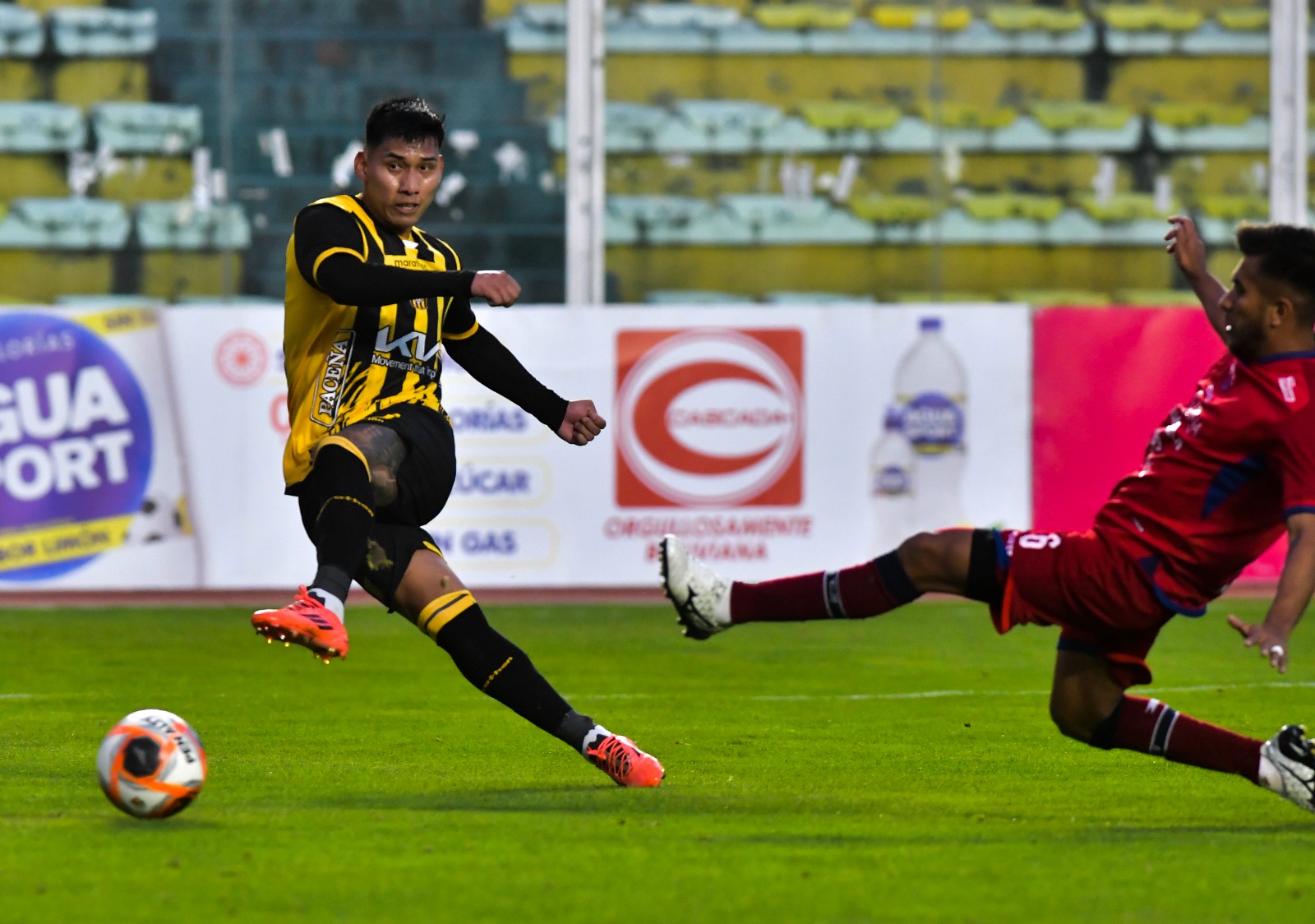 Tigre04053
