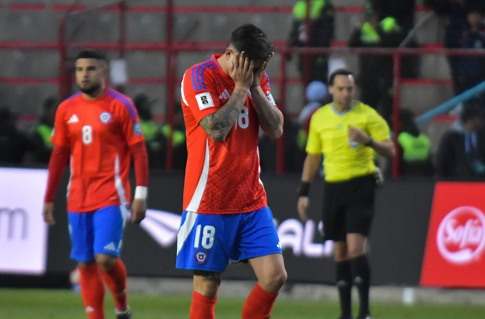 BOLIVIA CHILE 4