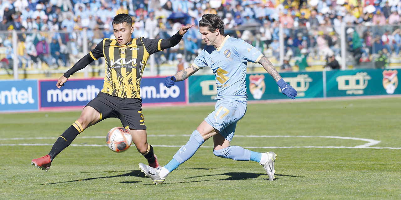 Tigre23062