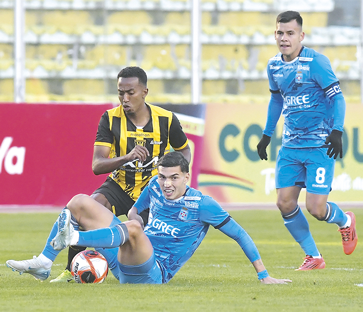 Tigre04082