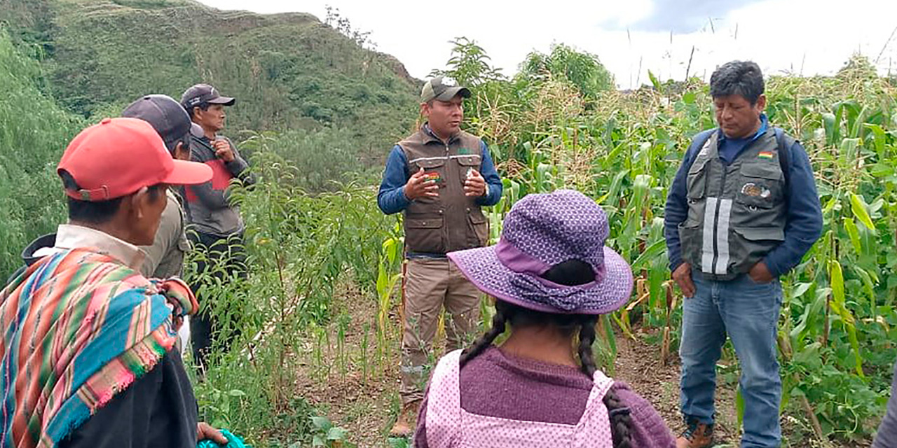 Parte de la capacitación que se desarrolló en Yotala. Foto: Senasag