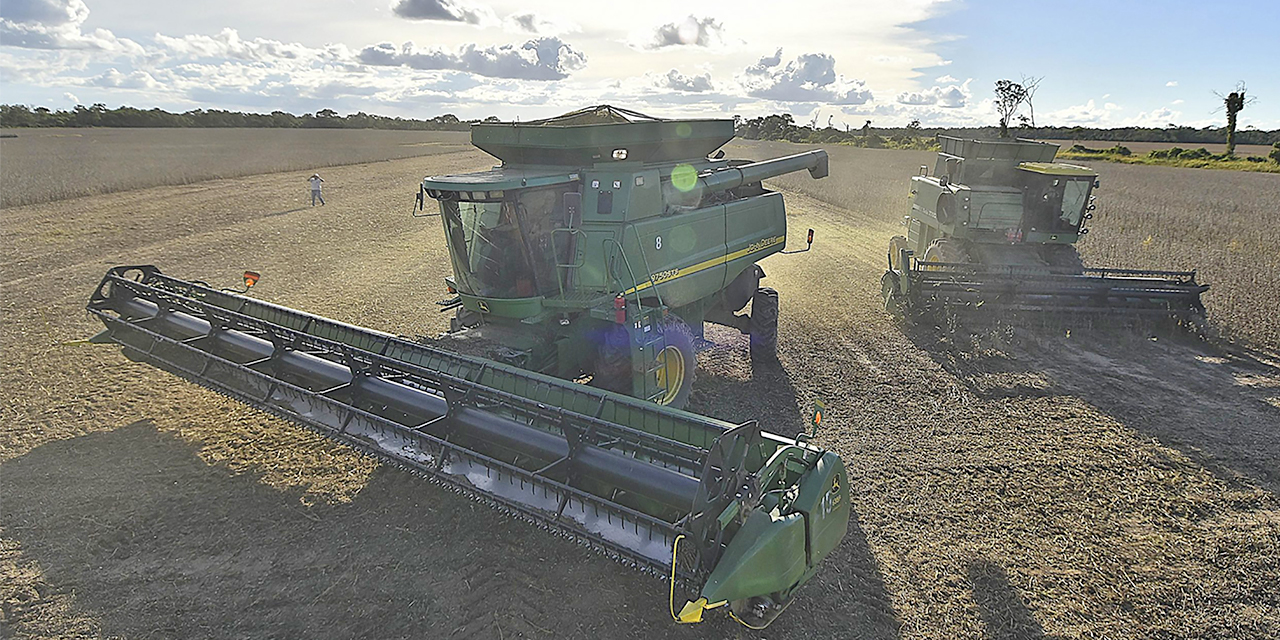 Los créditos para el sector agropecuario crecieron 16 veces con la gestión de Arce