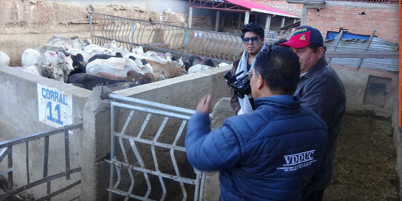 La inspección en el Matadero Municipal Los Andes, de El Alto. 