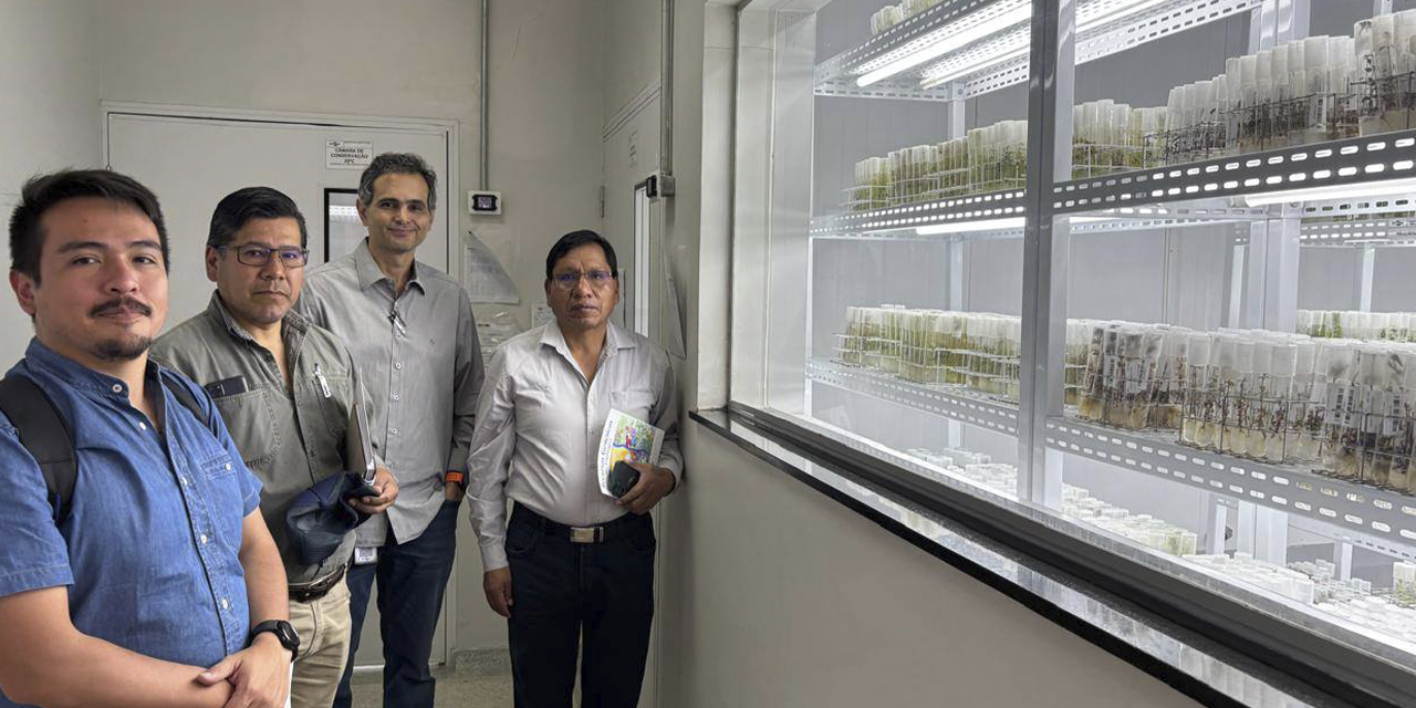 La delegación de INIAF en la sede de la Empresa Brasileña de Investigación Agropecuaria (Embrapa).