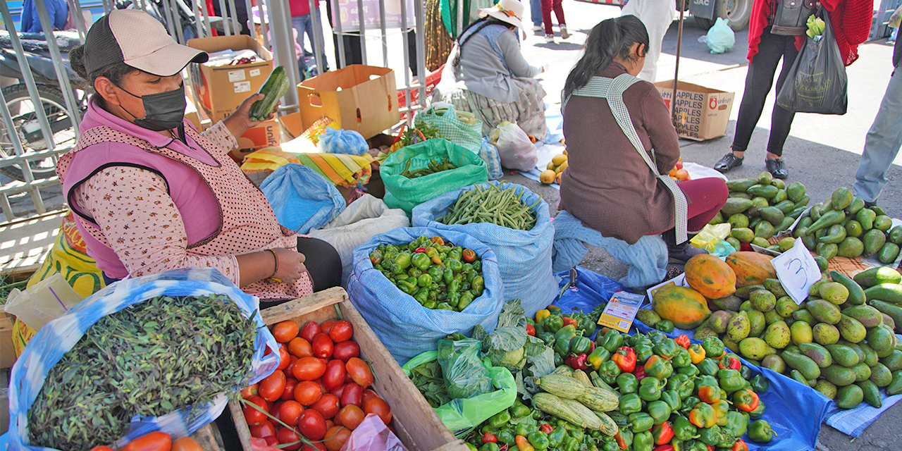 Gobierno logra aumentar la producción de los alimentos agropecuarios en 8%