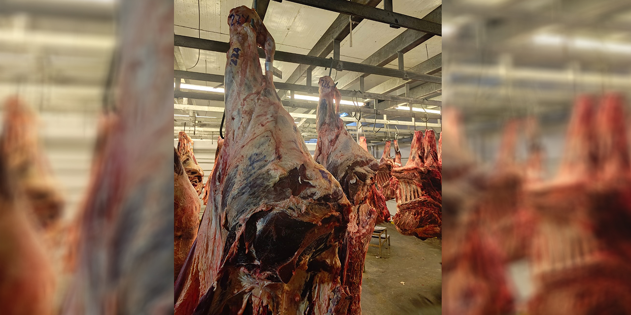 El Gobierno descarta la importación de la carne de res desde Argentina