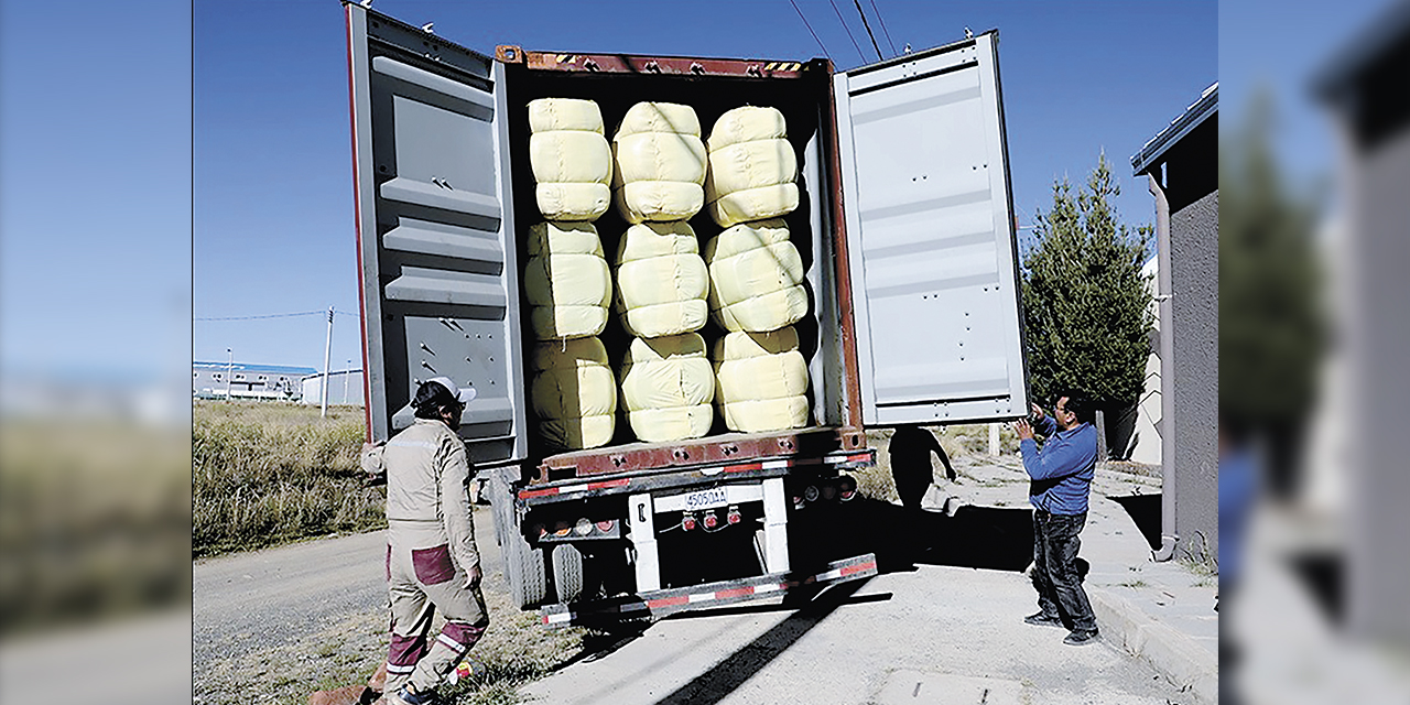 Exportación de fibra de llama lavada.