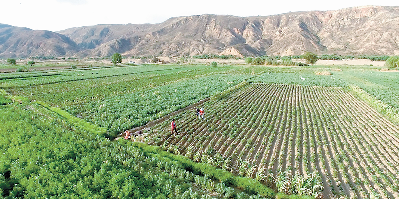 Campos de cultivo en Cochabamba.