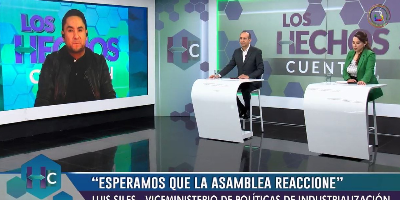 El viceministro de Políticas de Industrialización, Luis Siles, en entrevista con Bolivia Tv. Imagen: Captura.