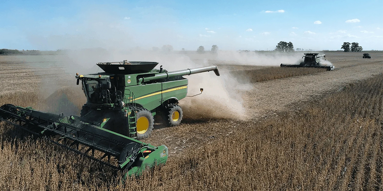 El Gobierno libera la exportación de soya hasta 250.000 toneladas