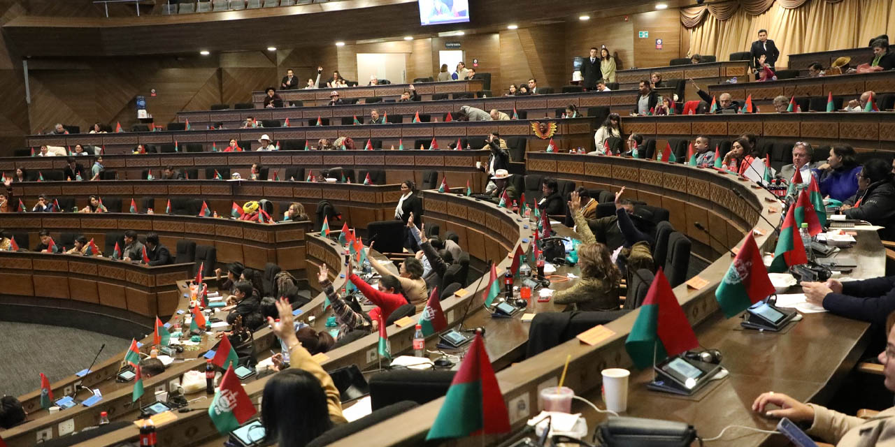 La mayoría de los legisladores aprobó el crédito en su estación en grande. Foto: VEP