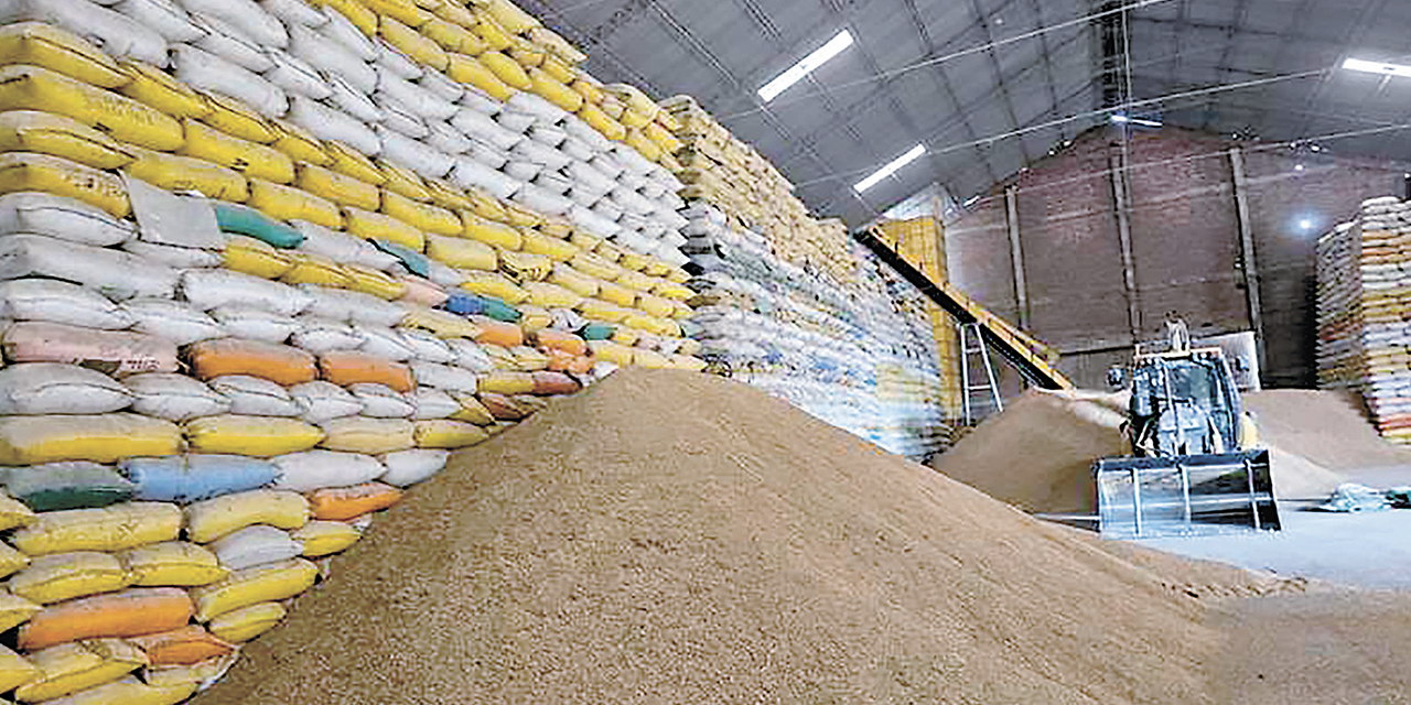 Un galpón con producción arrocera en el oriente boliviano.