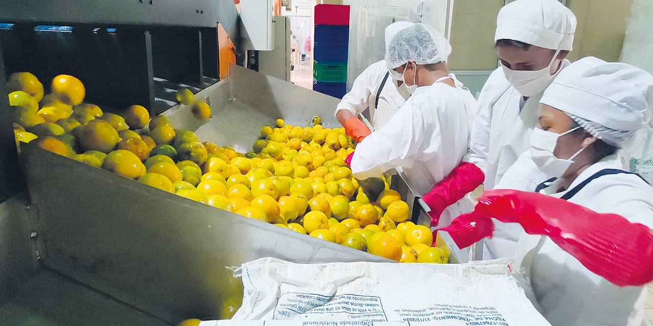 Plantas industrializadoras en La Paz generarán más de 10.000 empleos