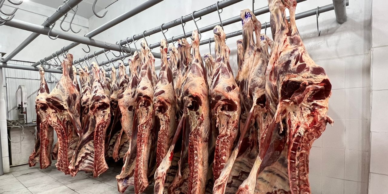 Ganaderos esperan respuesta en 60 días sobre apertura del mercado chileno para exportar carne de res