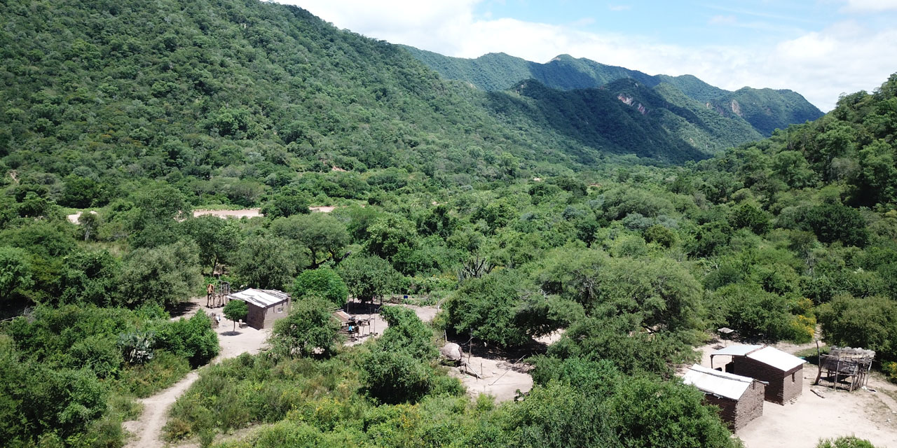 Foto: Natura Bolivia