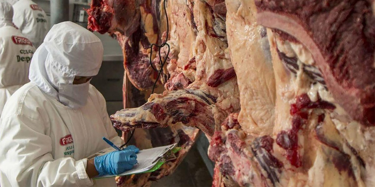 Revisión de la inocuidad de la carne de res.