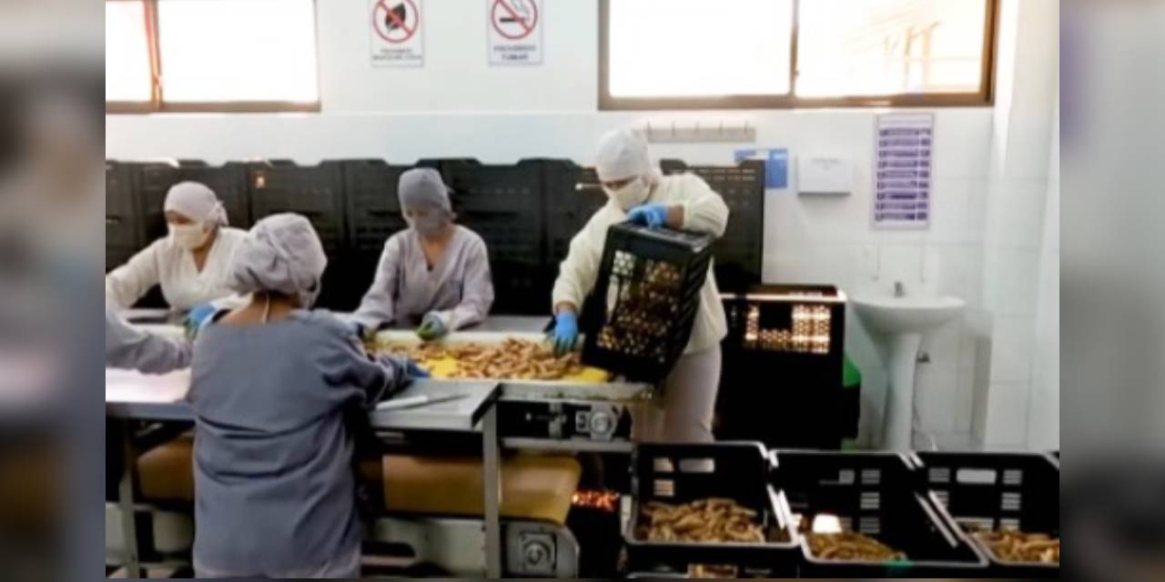 Planta que alarga la vida de frutas en Palos Blanco genera ingresos por Bs 10,4 millones en 8 meses
