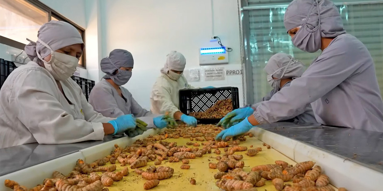 La Planta Liofilizadora reporta ingresos por Bs 10,4 millones