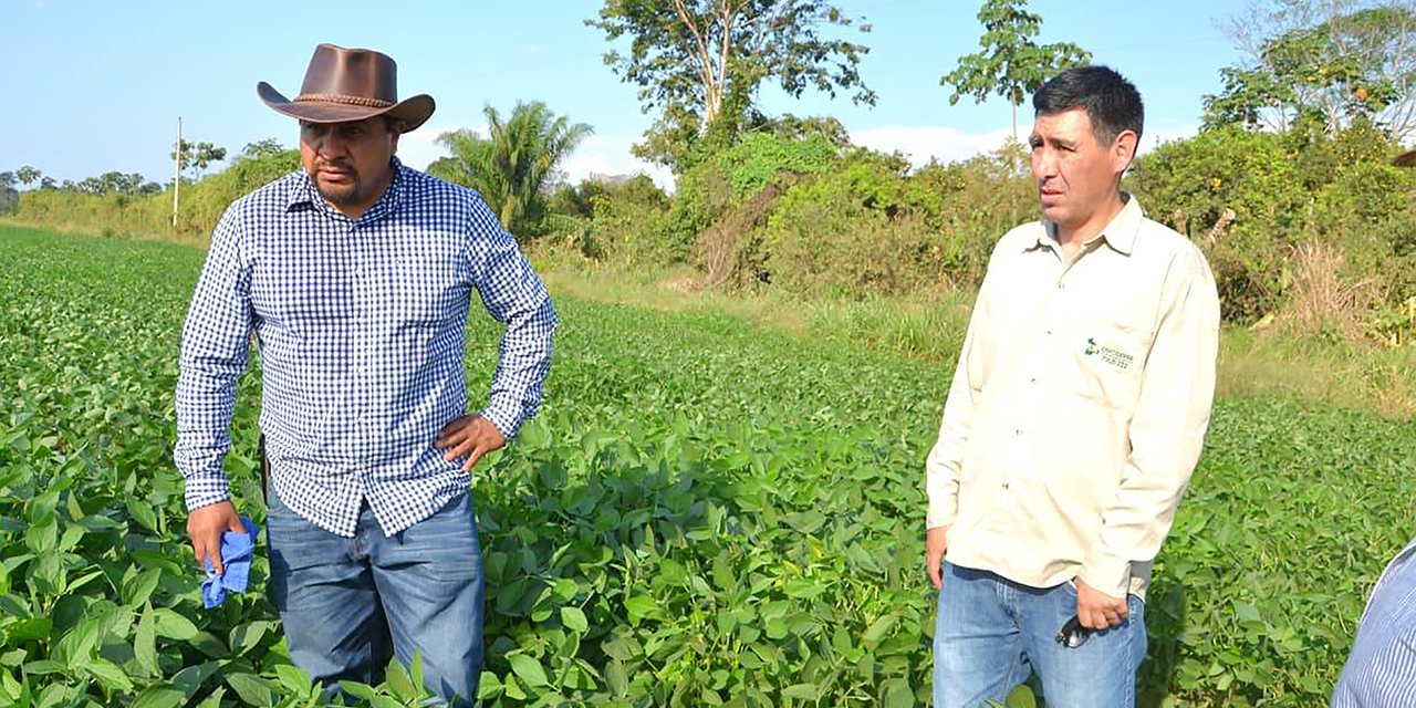 Arce: Proyecto Piloto de Soya confirma el gran potencial productivo en Ixiamas