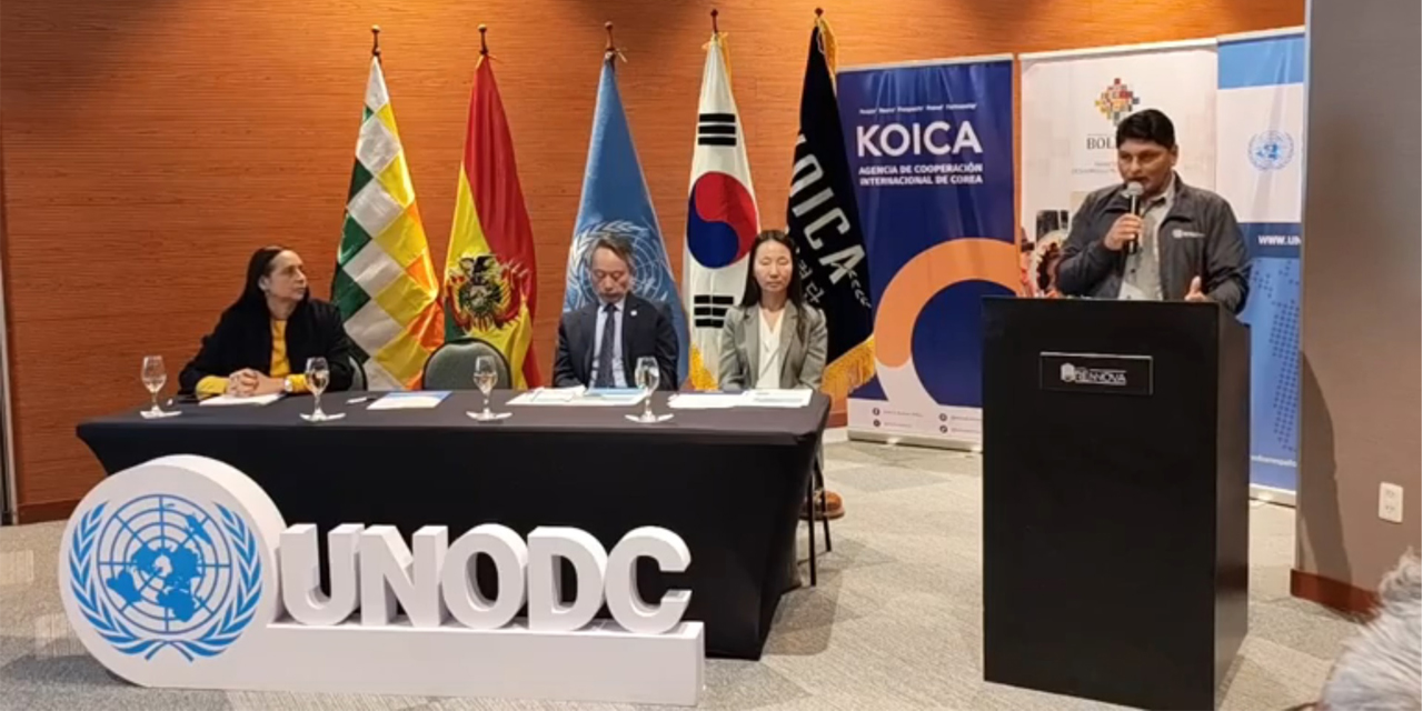 El viceministro de Coca y Desarrollo Integral, Mateo Mamani, durante la presentación del proyecto.