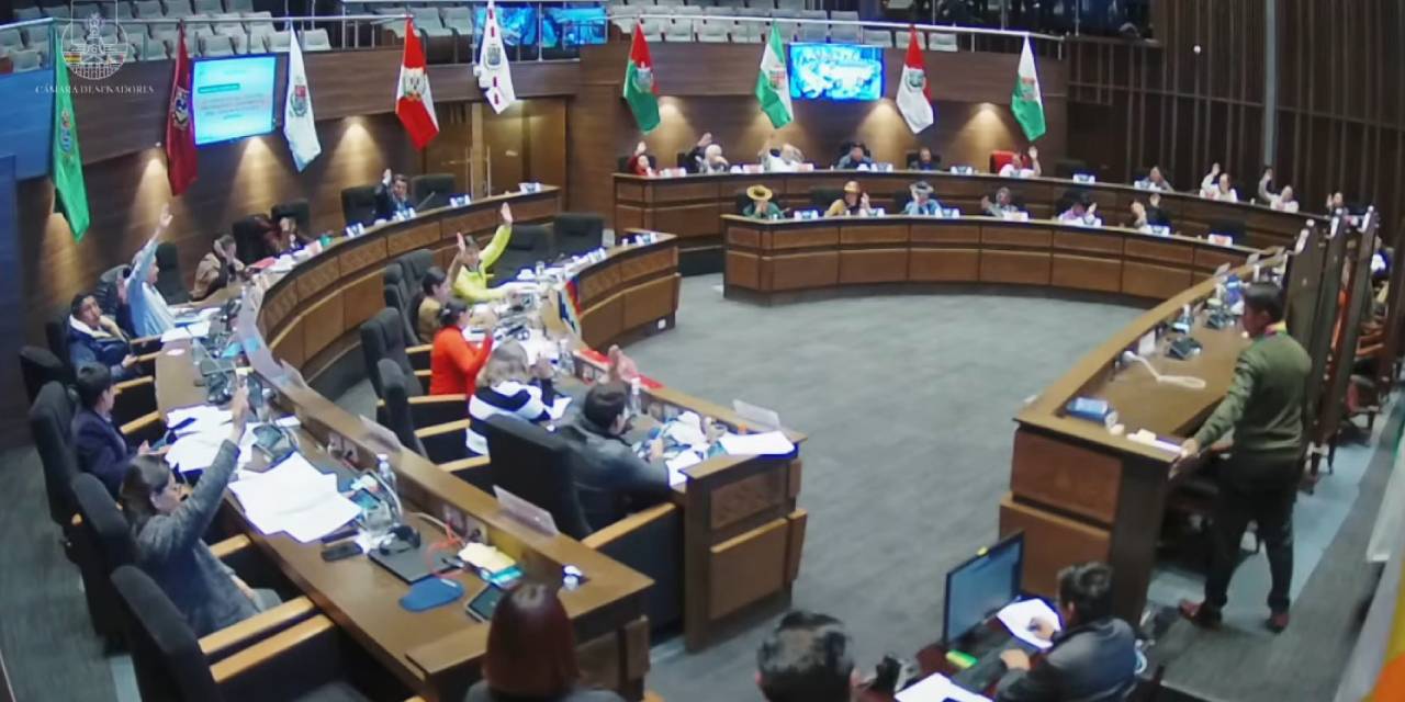 La sesión de la Cámara de Senadores. Foto: Senado