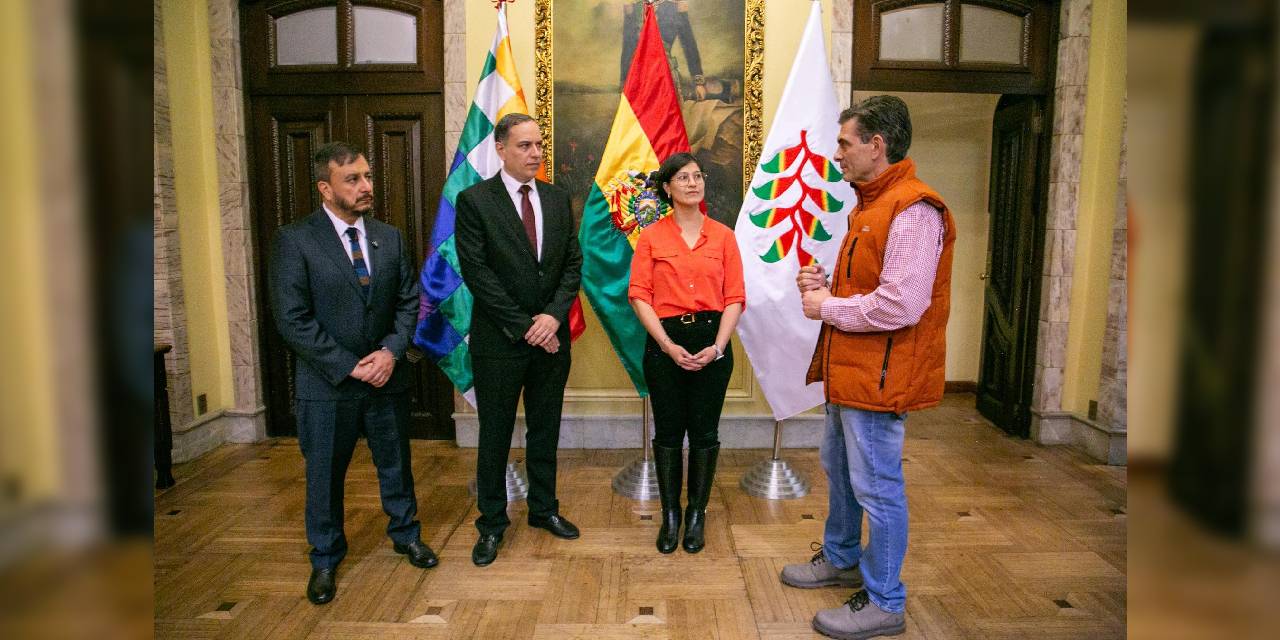 El presidente Rodrigo Paz junto al ministro de Hidrocarburos y Energías, Mauricio Medinacelli, el presidente de YPFB, Yussef Akly Flores, y la directora de ANH, Margot Ayala Lino. Foto: MHyE