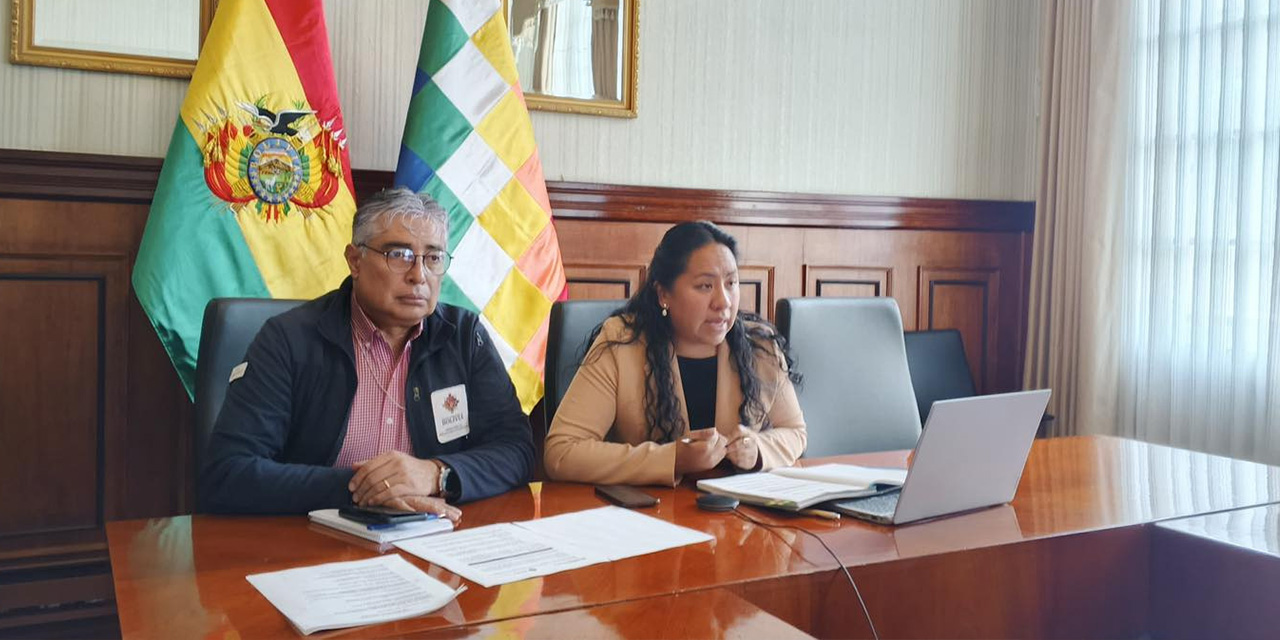 La directora de Límites y Aguas Internacionales Transfronterizas de la Cancillería de Bolivia, Marissa Castro.