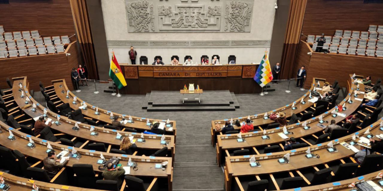 El pleno de la Asamblea Legislativa Plurinacional.