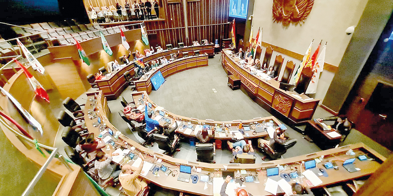 El pleno del Senado sancionó por mayoría el proyecto de Ley del TREP. El evismo se opuso a su aprobación sin modificaciones. 