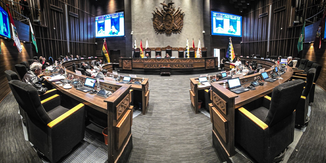 La sesión de la Cámara de Senadores. Foto: Senado