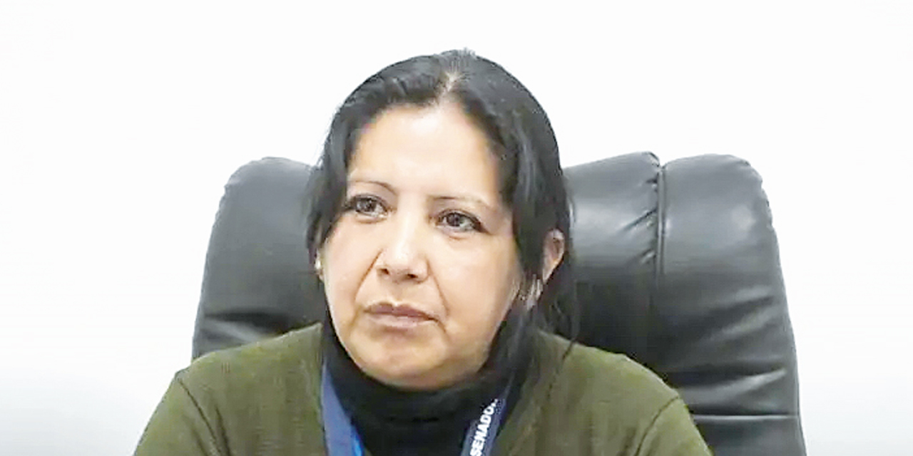 Senadora Ana María Castillo.