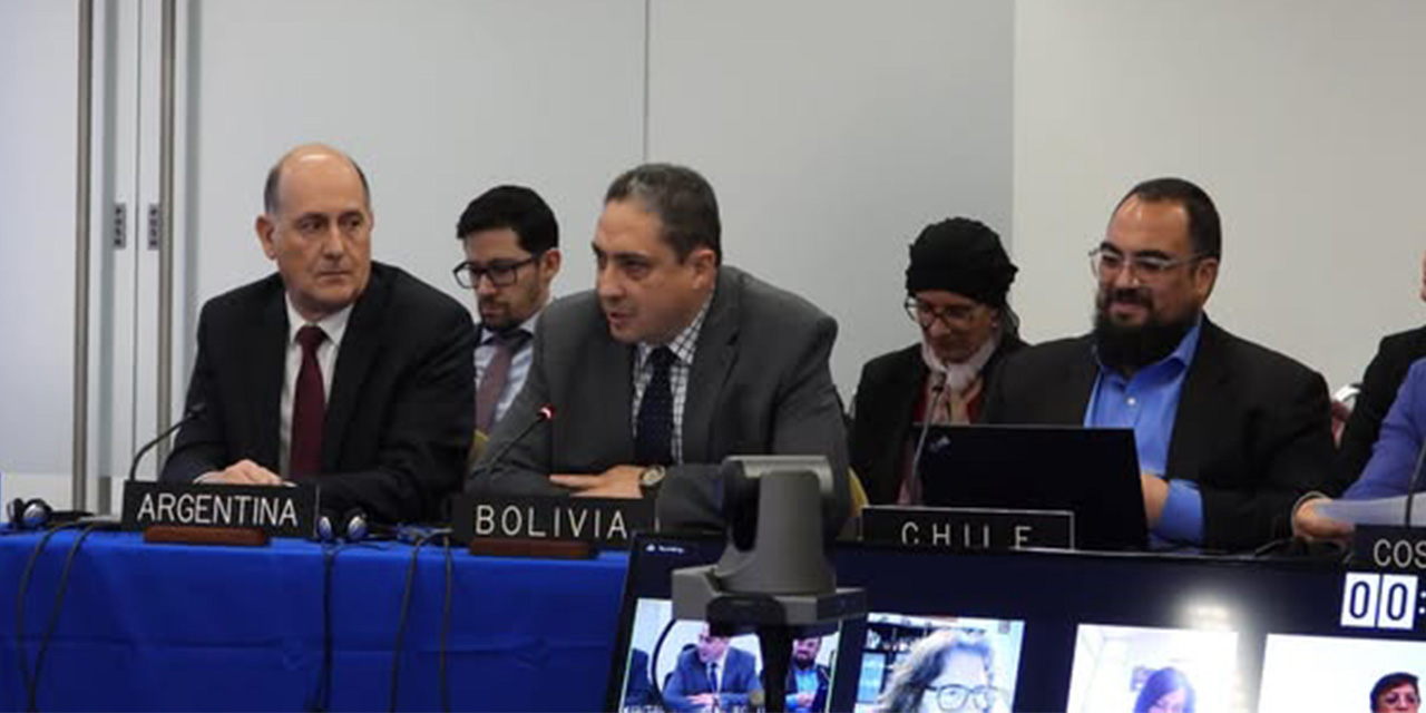 Bolivia pide a la CIDH vigilar las elecciones, respaldar la democracia y defender los DDHH