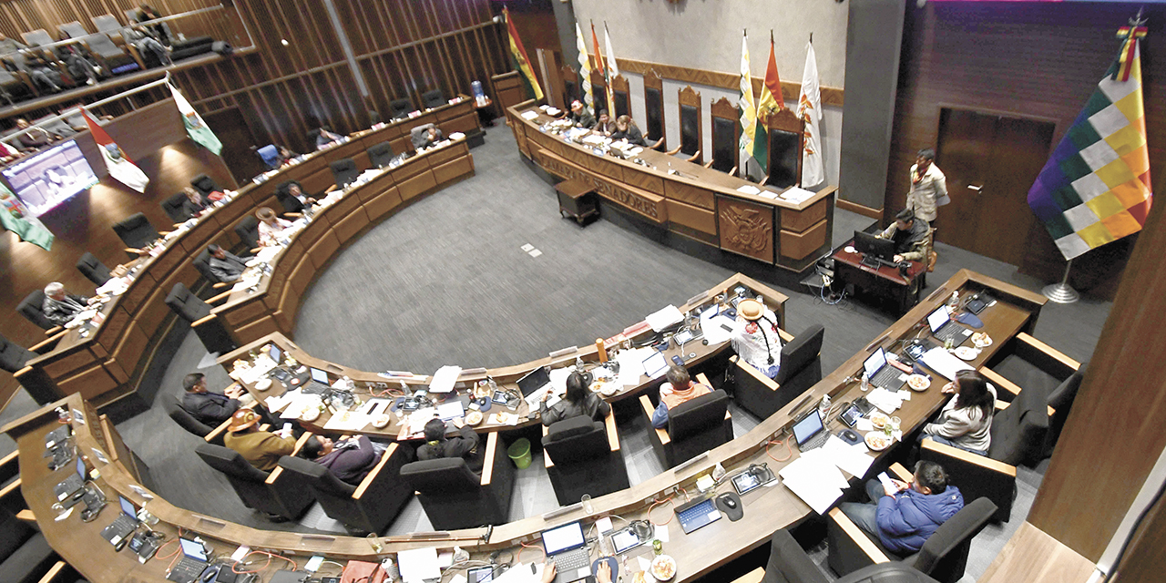 Senadores en una sesión sin la presencia de Andrónico Rodríguez.