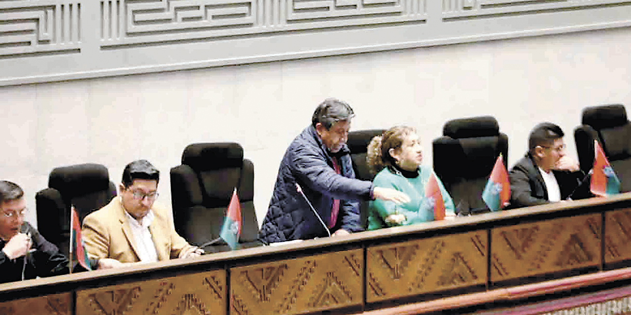 El presidente nato de la ALP, David Choquehuanca.