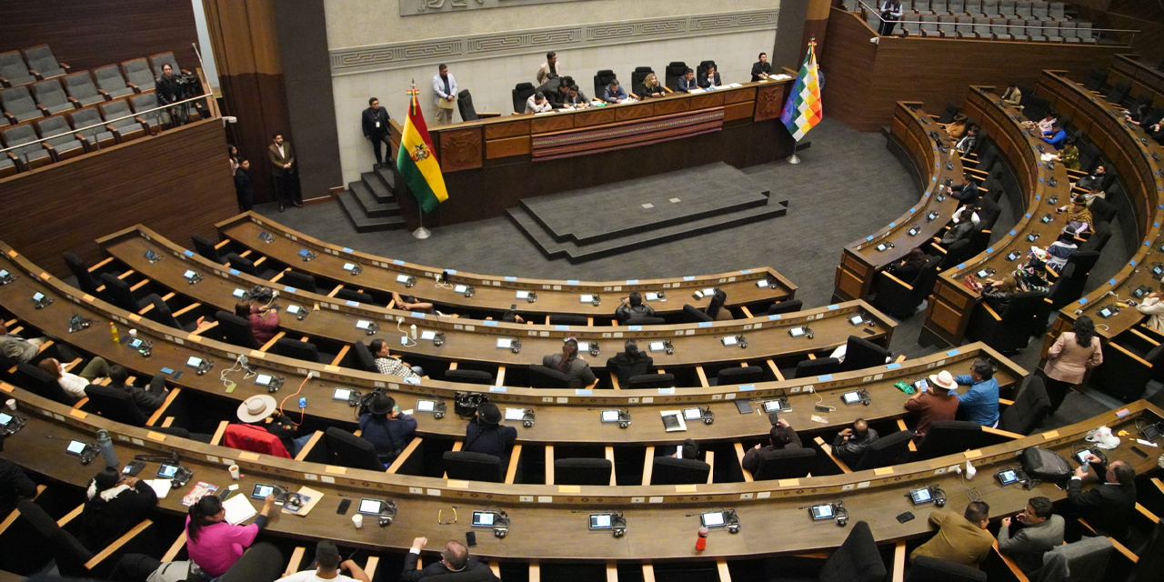 Vista del pleno de la Asamblea Legislativa Plurinacional.