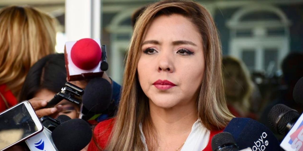 Viceministra de Comuncicación, Gabriela Alcón.
