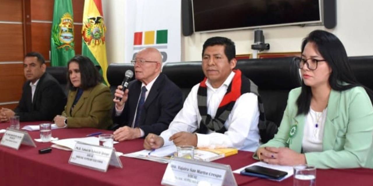 La Sala Plena del TSE definirá la situación de la legisladora suplente. 