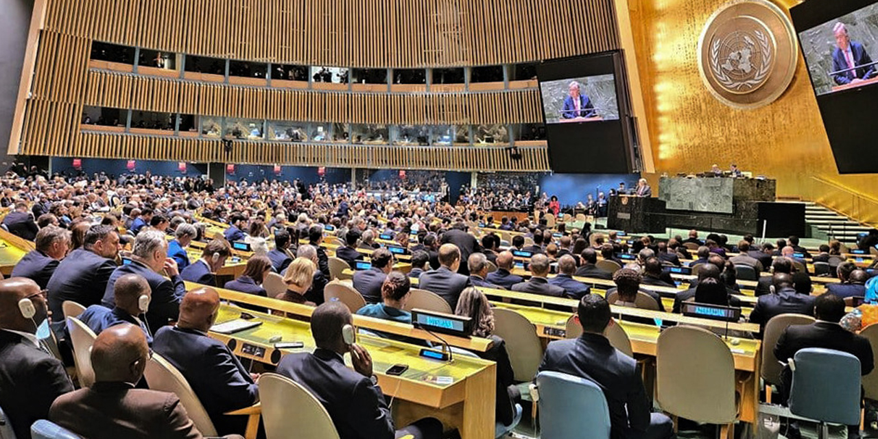 Una sesión de la Asamblea  General de las Naciones Unidas