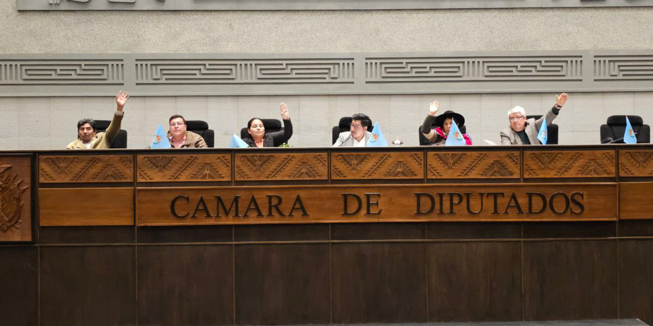 La directiva de la Cámara de Diputados. Foto: CdD