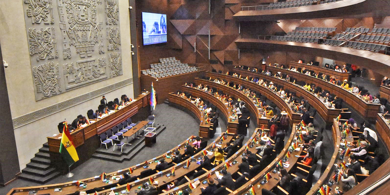 TSE pide la aprobación rápida de la ley para no retrasar las elecciones subnacionales