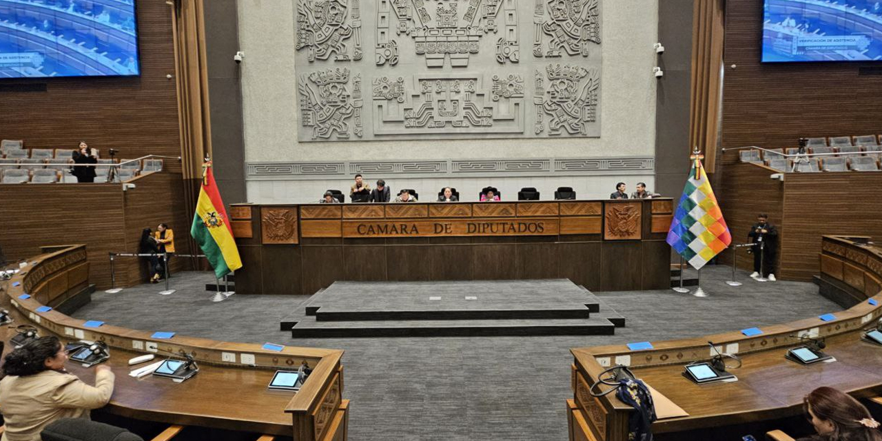 La sesión de la Cámara de Diputados. Foto: CD La sesión de la Cámara de Diputados. Foto: CD