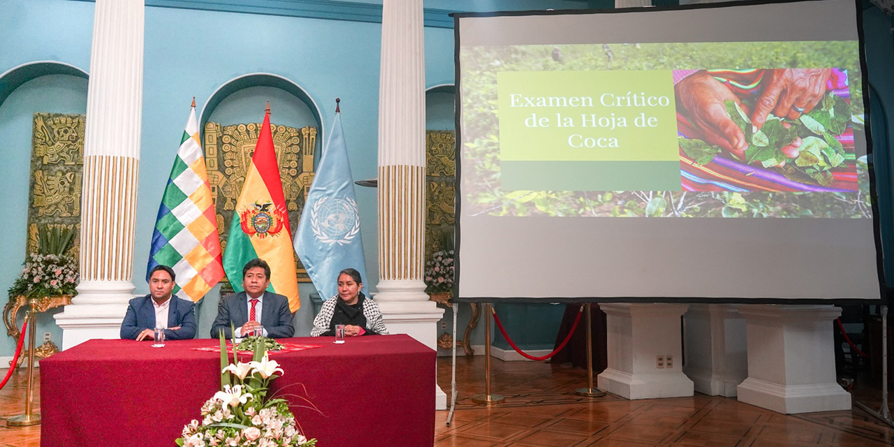 Bolivia invita a la comunidad internacional a acompañar el examen crítico de la coca