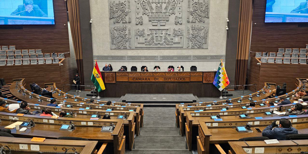 Sesión en la Asamblea Legislativa Plurinacional.