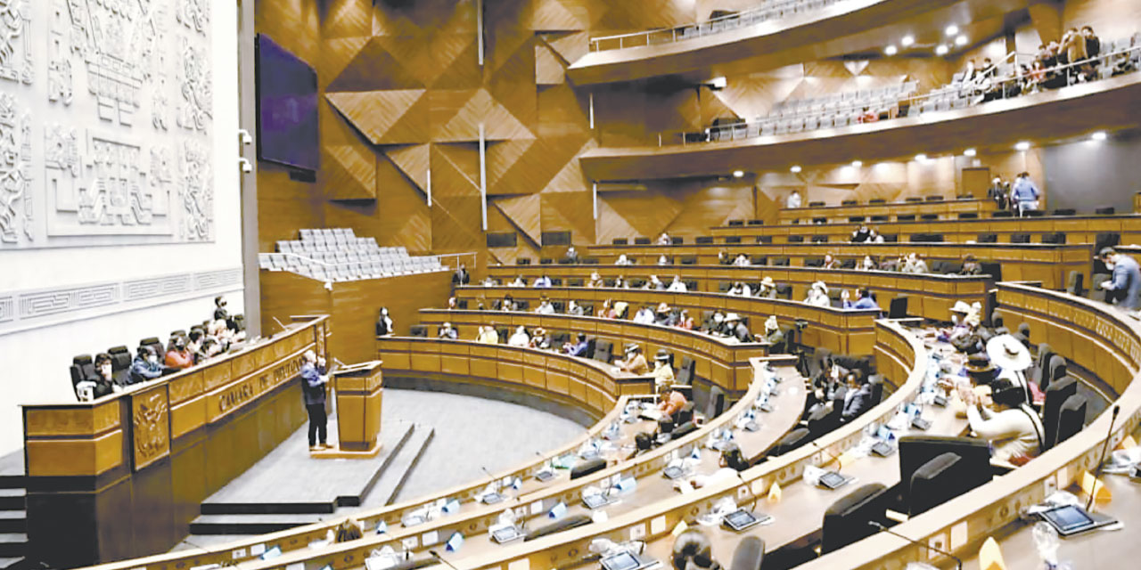 FOTO:  CÁMARA DE DIPUTADOS