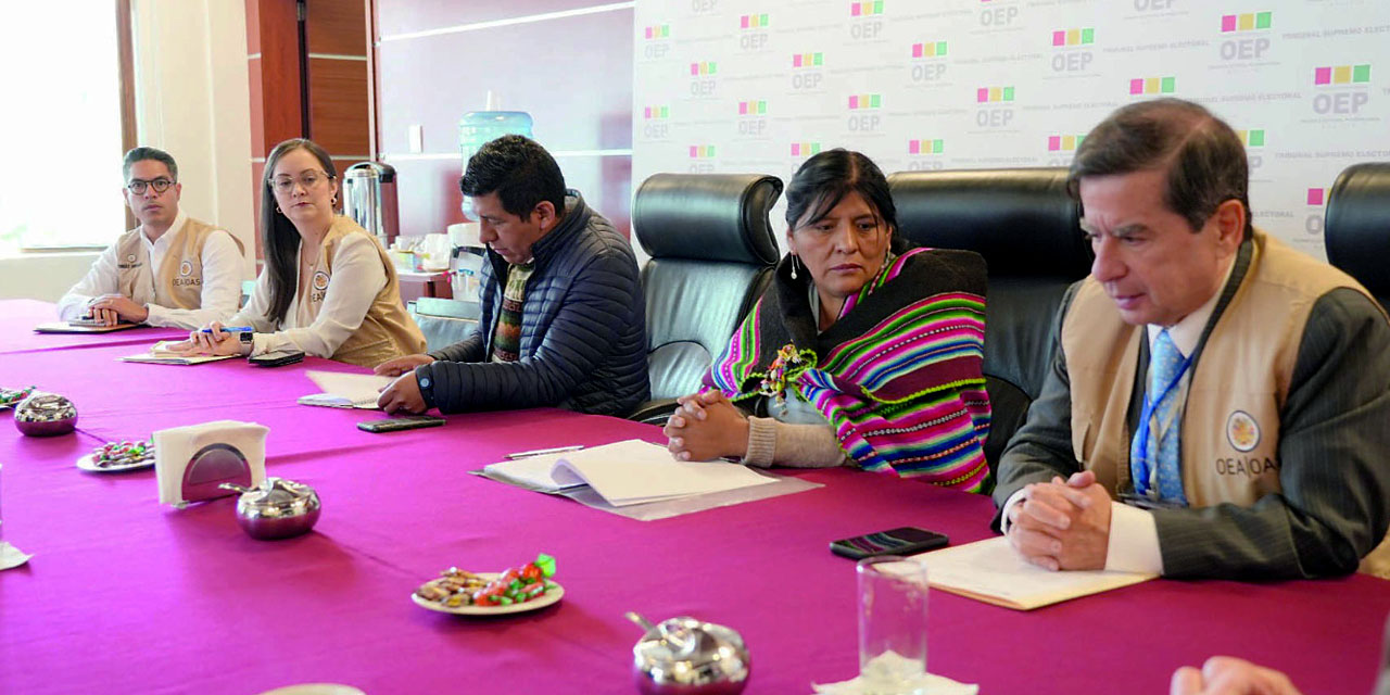 Personal de la OEA se reunió ayer con autoridades del TSE. 
