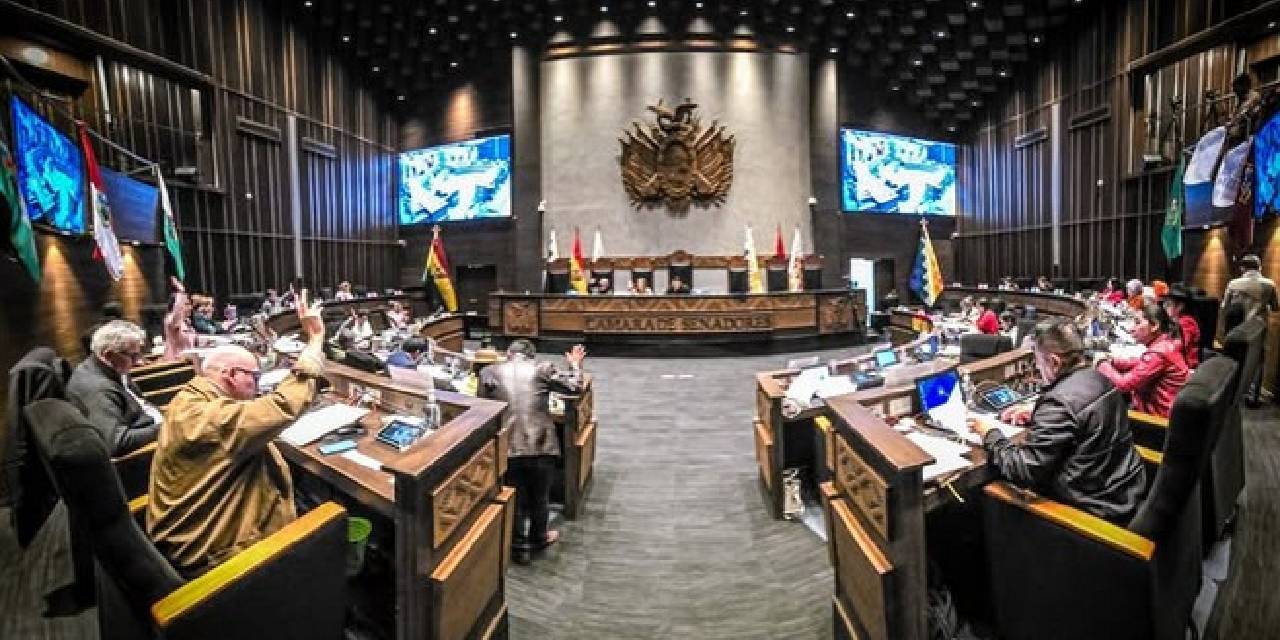 Vista del pleno de la Cámara de Senadores durante una sesión.