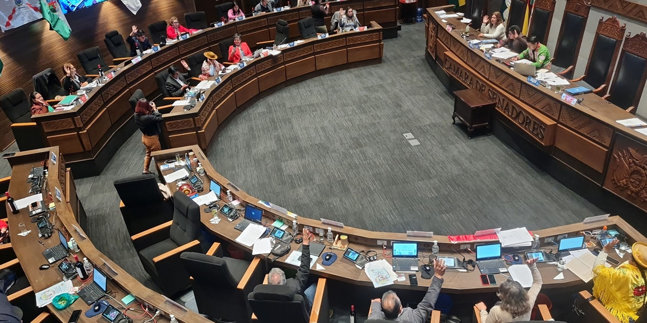 La Cámara de Senadores contará con la presencia de cuatro fuerzas políticas desde el 8 de noviembre. Foto: Cámara de Senadores