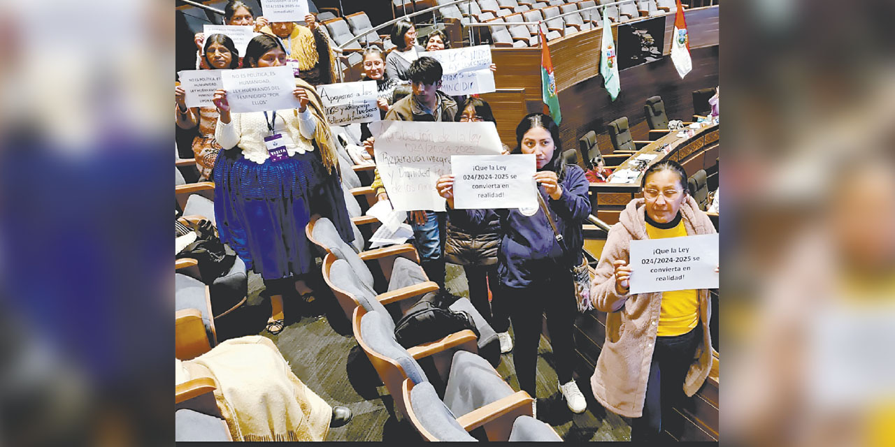 Activistas demandan que el Senado sancione la ley de protección integral y reparación. FOTO:  SENADO